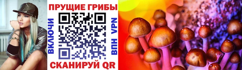 Псилоцибиновые грибы GOLDEN TEACHER  Подпорожье 